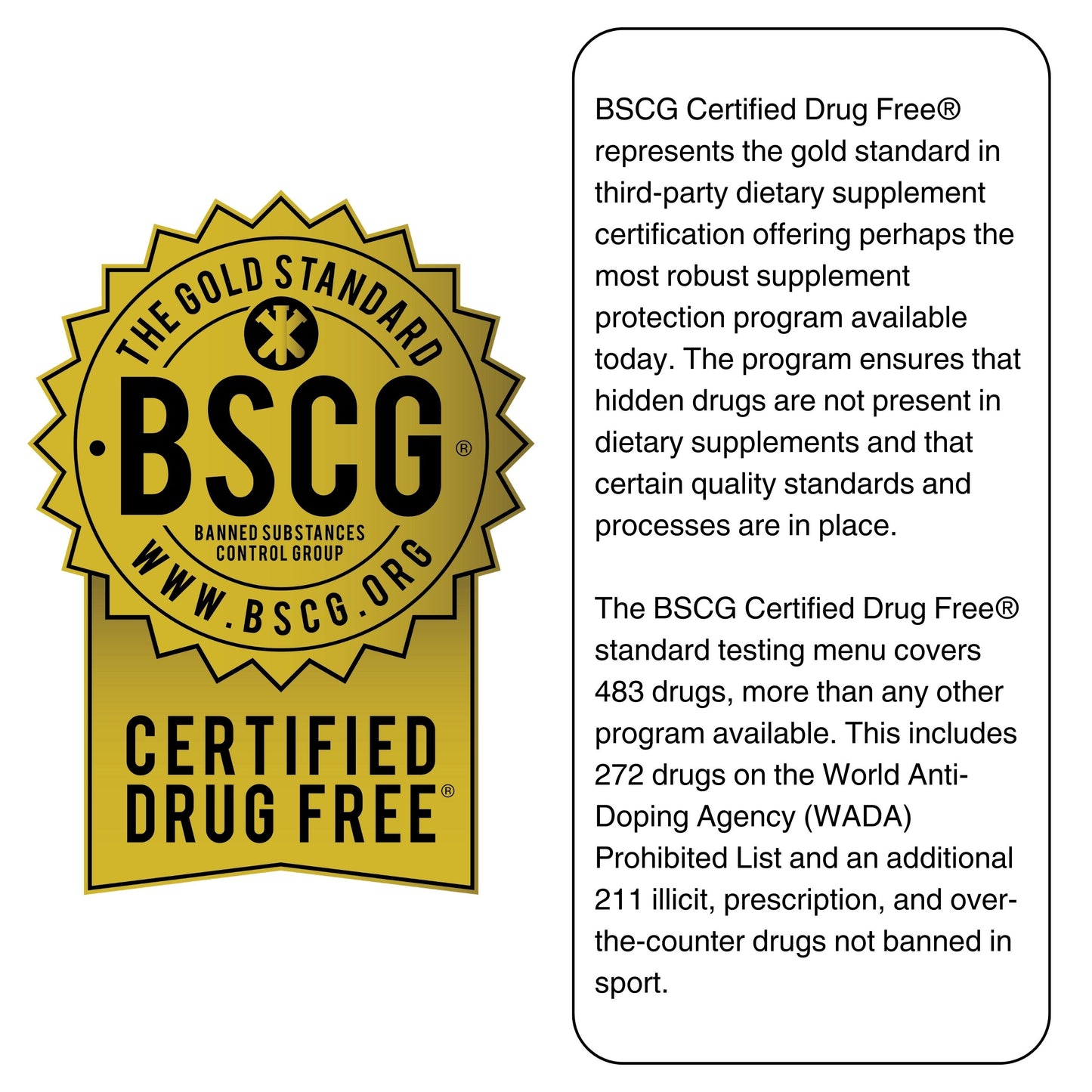 Complete Plant-Based Protein